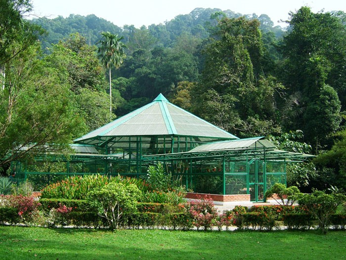 Botanical garden, spice garden of Penang