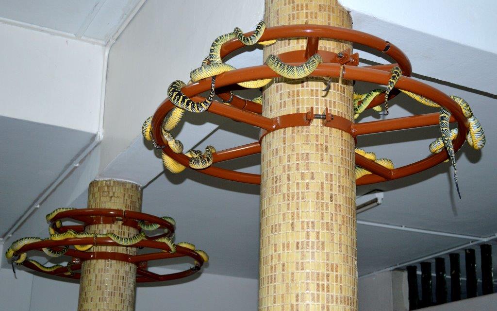 snake temple penang