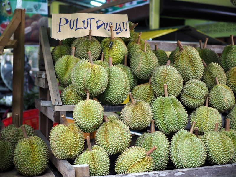 Singapore Durian