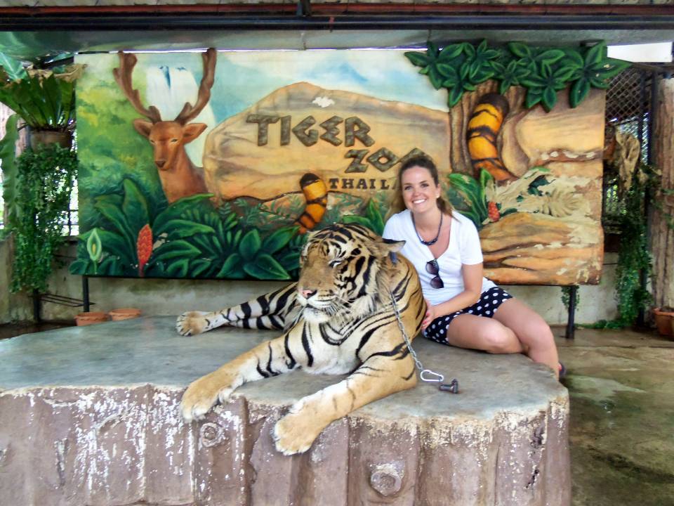 sriracha tiger zoo pattaya review (1)