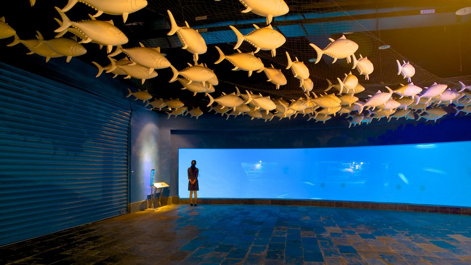 National Museum of Marine Biology and Aquarium which includes marine life as well as an individual