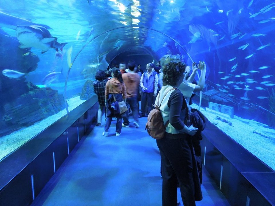 The World Famous Busan Aquarium
