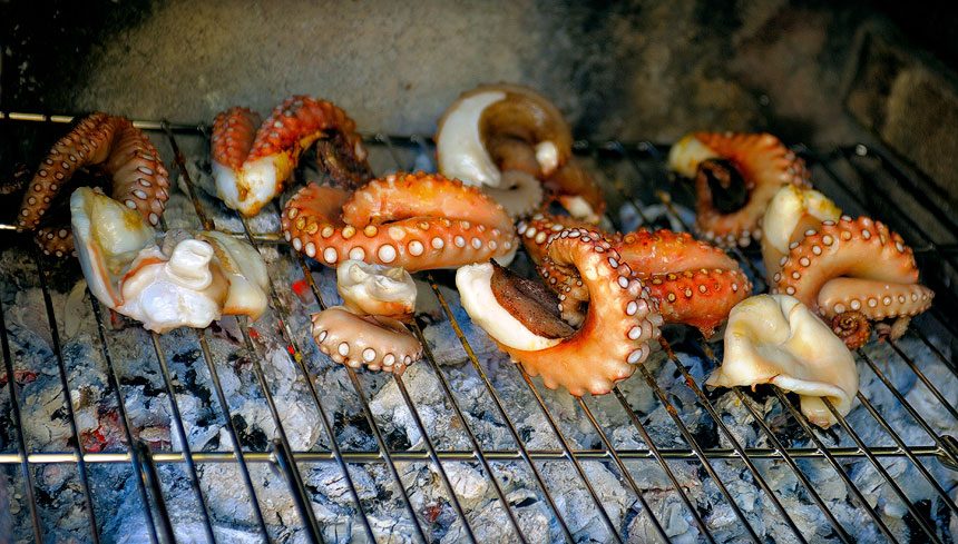 grilled squid tentacles