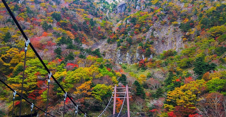 Hallasan Mountain. The last place to greet autumn.
