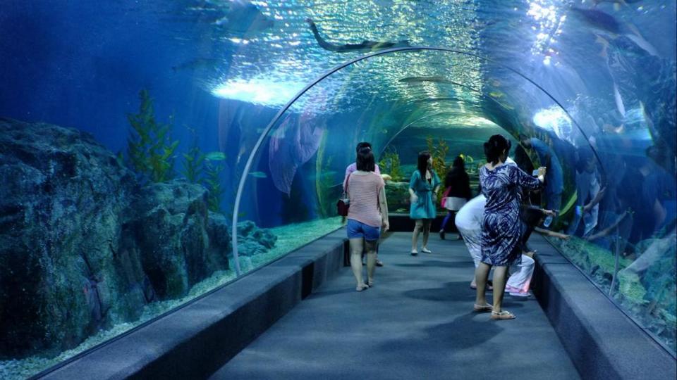 SEA Life Aquariums Bangkok-bangkok-thailand