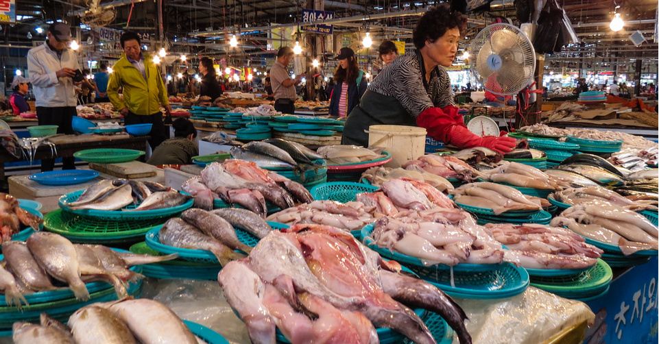 Fresh seafood in the Jeju market