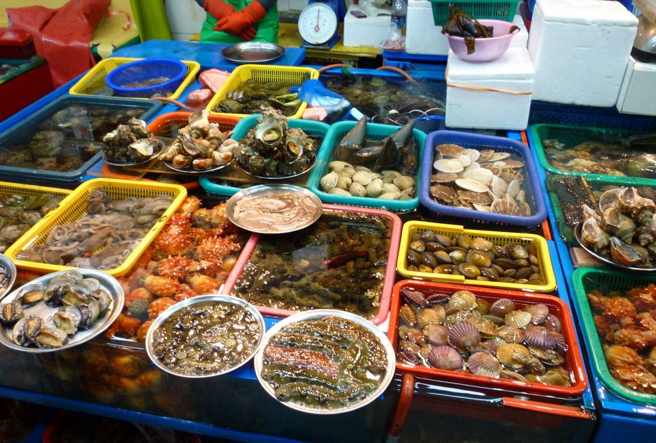 Jagalchi Fish Market Photo: busan 4d3n itinerary blog.
