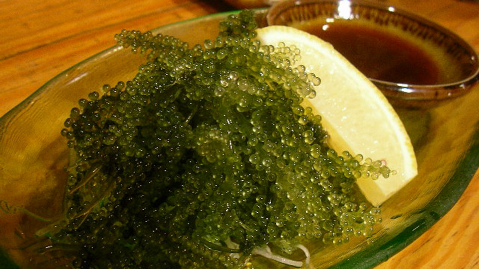 food-okinawa-food-umi-budo