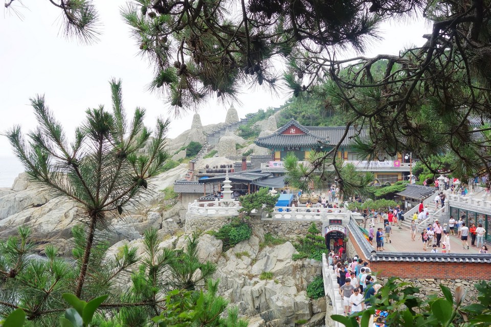 First view of the temple through the trees.