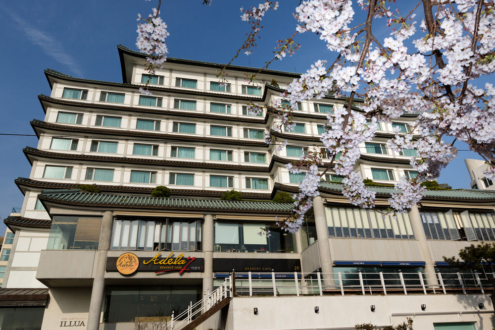 Hotel Illua Busan. Picture: busan travel blog.