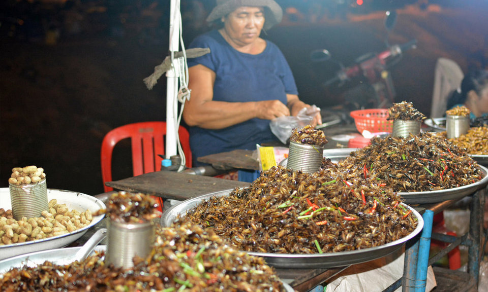 insects street-foods3_orig