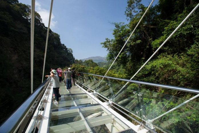 Taiwan Fall Foliage Forecast 2025 — When & 9+ Best Place to See Autumn ...