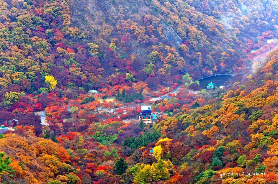 fall foliage forecast korea 2018 fall foliage korea 2018 when is autumn in korea (6)
