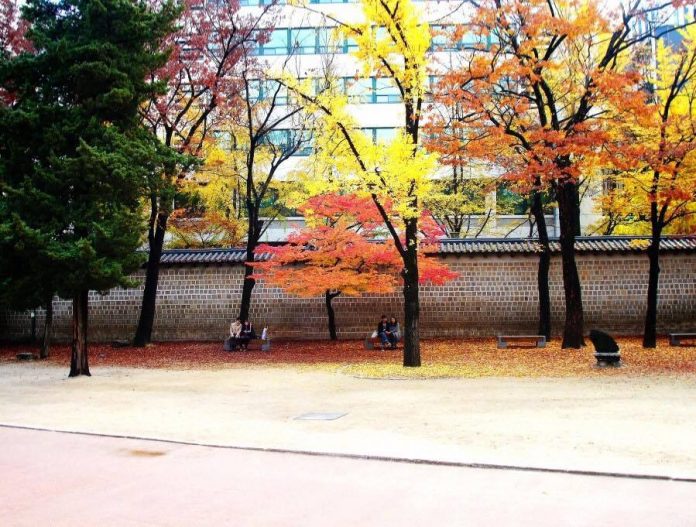 fall foliage forecast korea 2018 fall foliage korea 2018 when is autumn ...