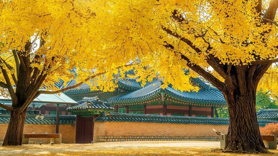 korea in autumn