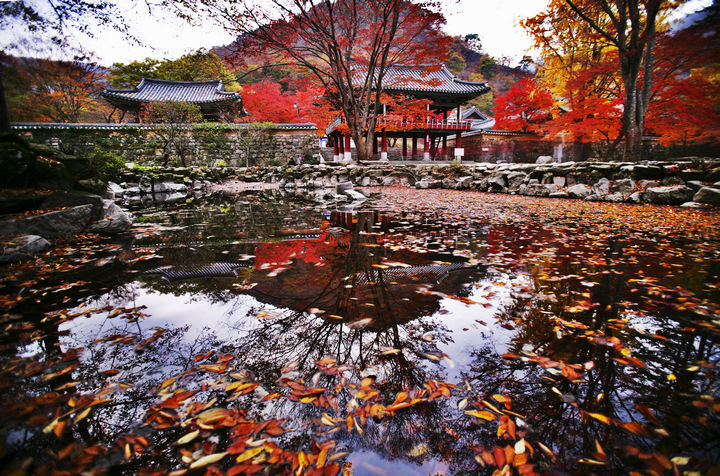 Autumn-landscape-with-temples-in-south-koreanaejangsa