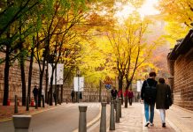 Deoksugung Doldam-gil road autumn seoul