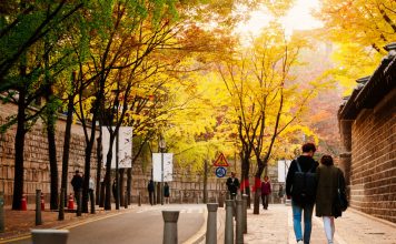 Seoul autumn foliage 2025 forecast — When & 13+ best places to see autumn leaves in Seoul Deoksugung Doldam-gil road autumn seoul