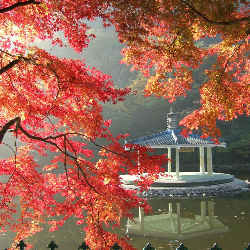 Naejangsan-fall-foliage-autumn-lake