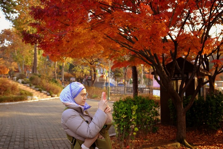 Seoul Grand Park autumn