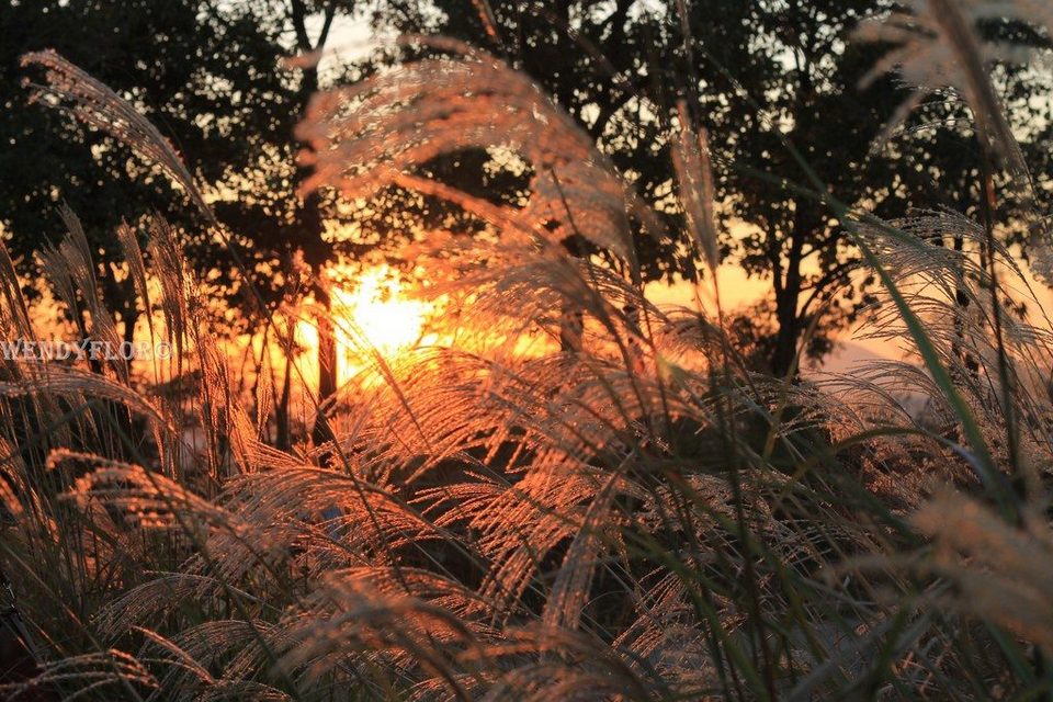 haneul-park-autumn seoul212