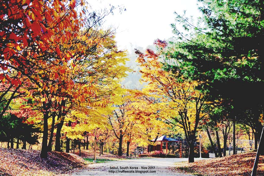 haneul-park-autumn seoul