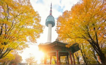 namsan autumn 2
