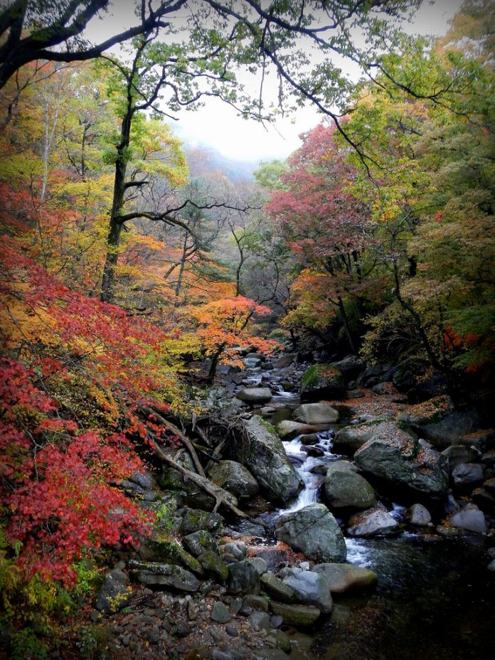 Top South Korea national parks — 20 best national parks in South Korea ...