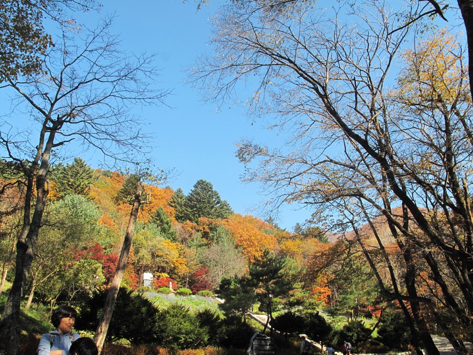 Odaesan National Park Autumn foliage