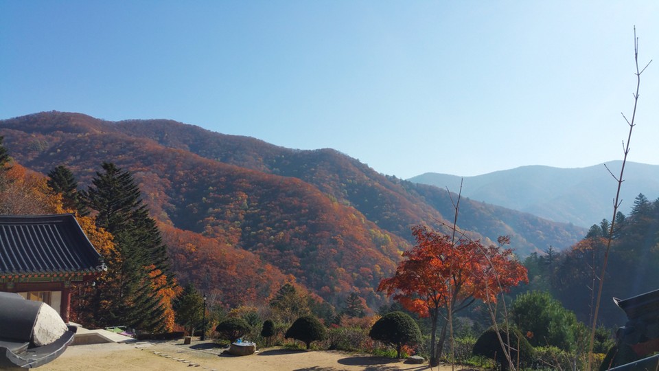 Odaesan National Park Autumn foliage3