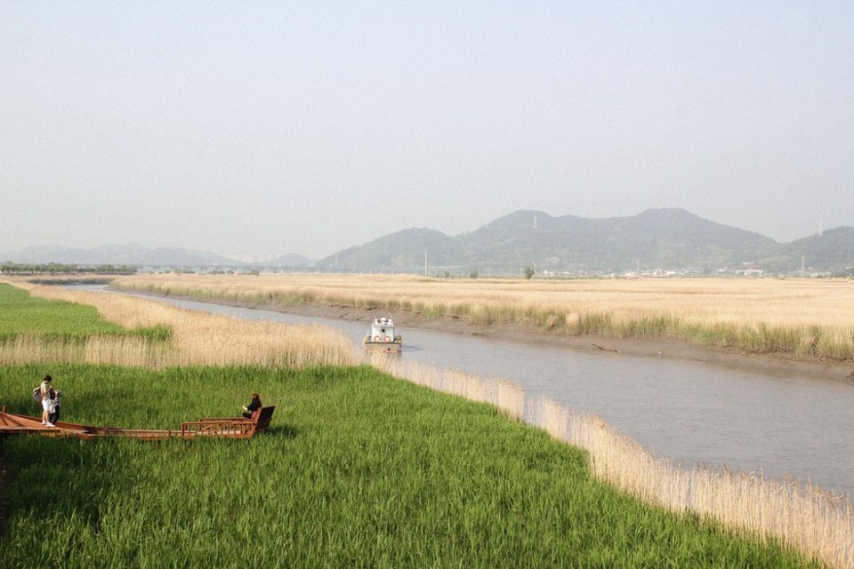 Suncheonman Bay Wetland Reserve3v