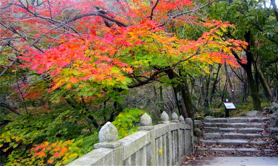 autumn-Jirisan National Park 2