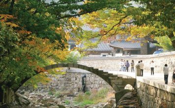 Busan fall foliage forecast 2025 — When & 6+ best places to visit in Busan during autumn beomosa temple in autumn