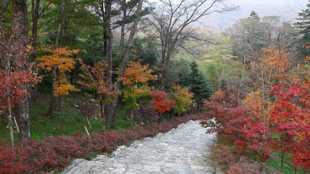 odaesan-mountain-autumn-foliage
