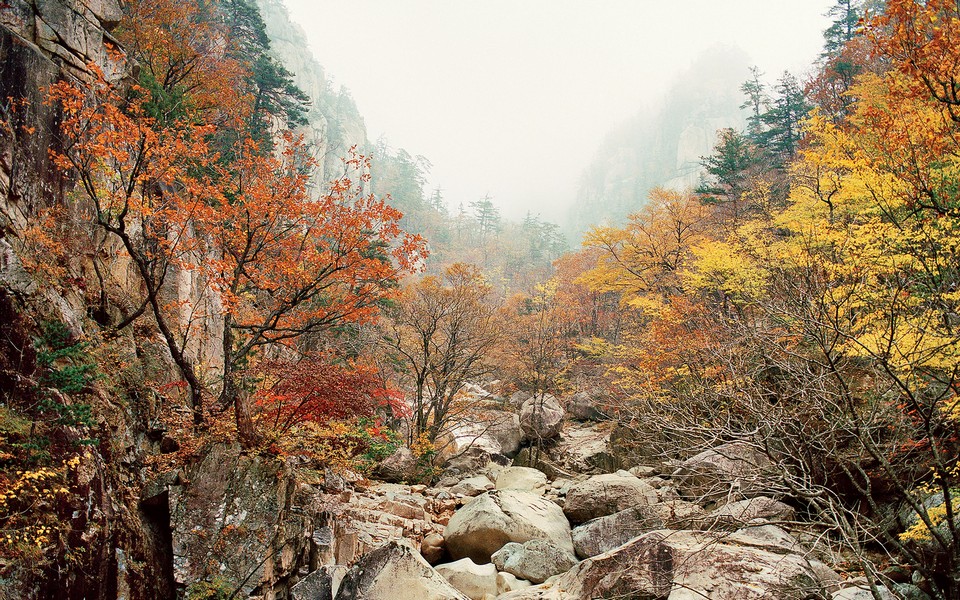 seoraksan national park autumn 111| best place to see autumn leaves in korea