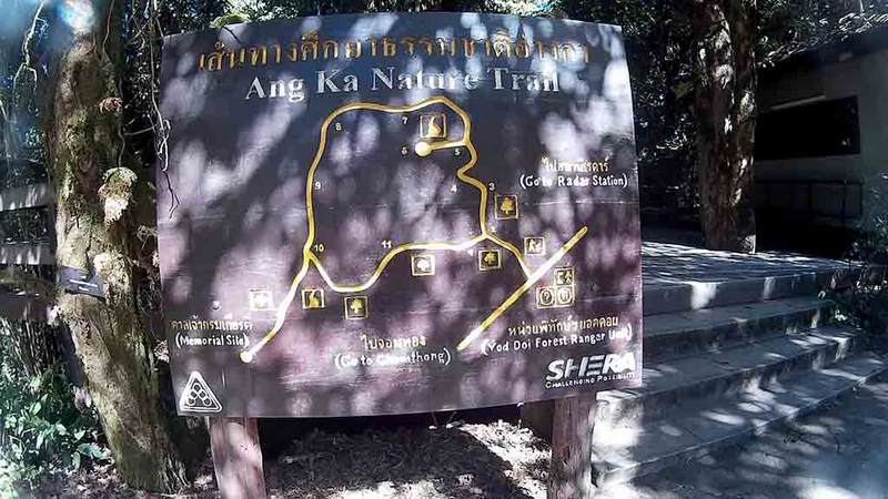 Ang Ka Nature Trail - Ang Ka Nature Trail Doi Inthanon National Park, Chiangmai, Thailand