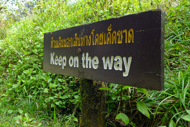 On The Way Ang Ka nature trail, Doi Inthanon NP