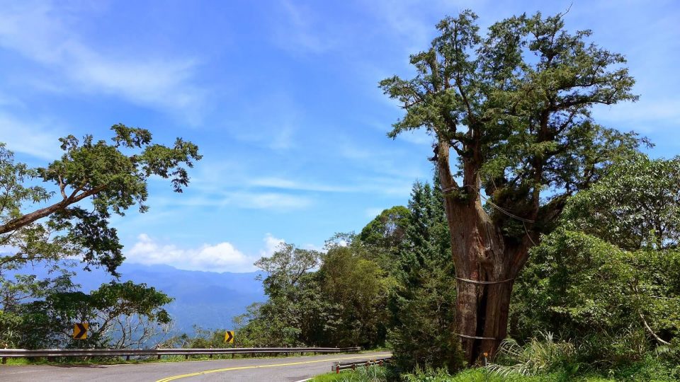 Taipingshan Yilan Picture: taipingshan national forest recreation area blog.