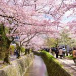 Kyoto travel tips — 12+ Kyoto insider tips & things to know before going to Kyoto