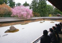 ryoanji temple kyoto 3 days in kyoto kyoto 3 day itinerary what to do in 3 days in kyoto (1)