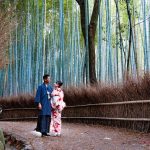 Kyoto 3 day itinerary — How to visit Kyoto in 3 days & what to do in Kyoto in 3 days perfectly?