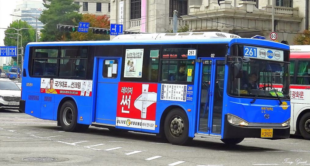 Blue Bus 261