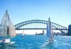 White sailboats, bridge in Sydney Harbour against clear blue sky