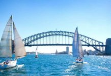 White sailboats, bridge in Sydney Harbour against clear blue sky