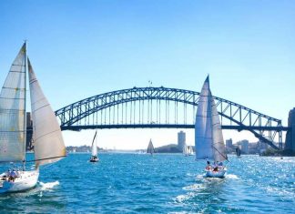 White sailboats, bridge in Sydney Harbour against clear blue sky