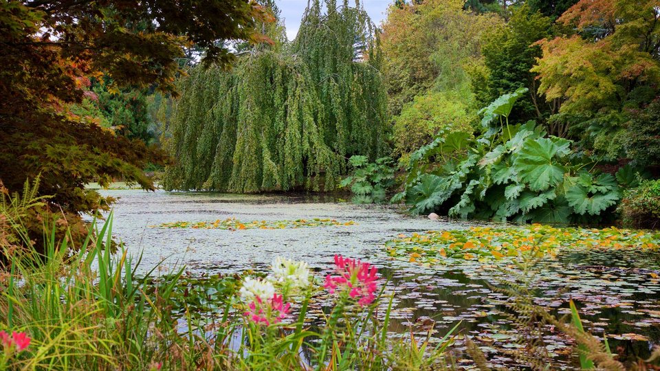 VanDusen Botanical Garden vancouver