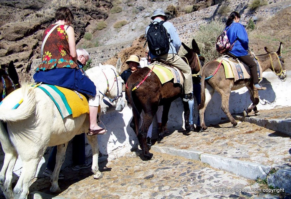Santorini-3-people-donkey-ride