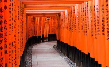 Japan itinerary 10 days — How to spend 10 days in Japan perfectly for the first-timers?