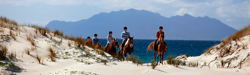 Horse riding along the coast is also one of the highlight activities here.