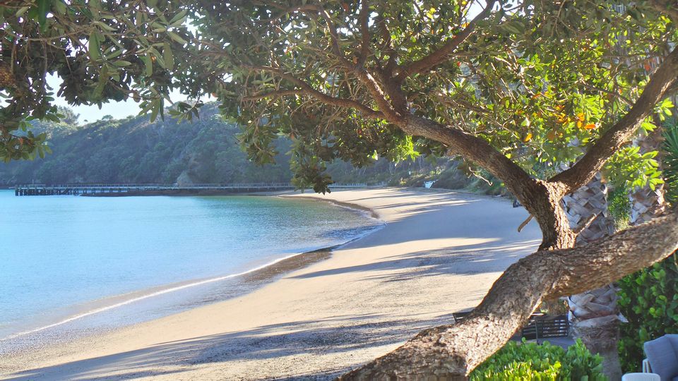 Vivian Bay, Kawau Island